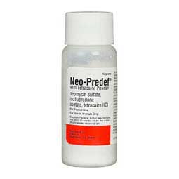 Neo-Predef with Tetracaine for Dogs, Cats & Horses  Zoetis Animal Health